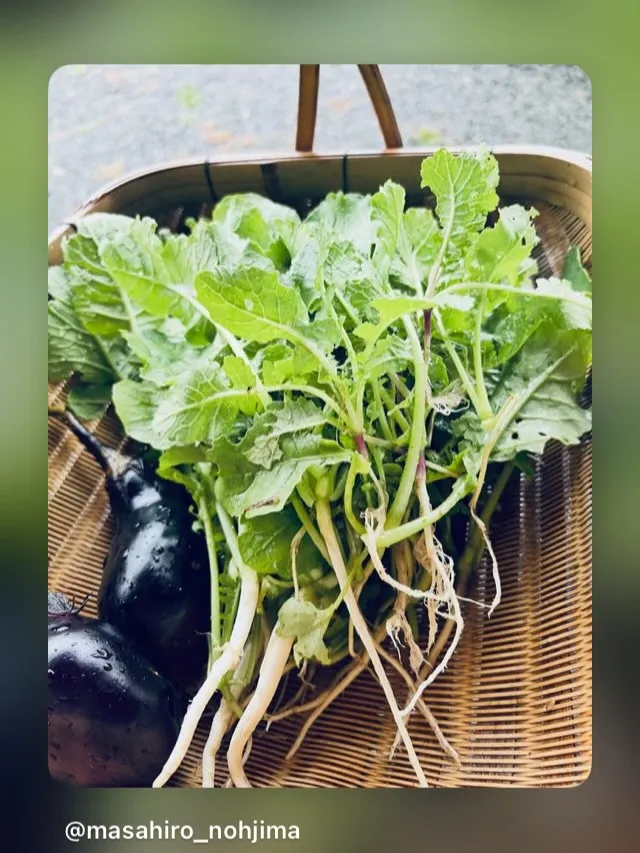 うれしいこと